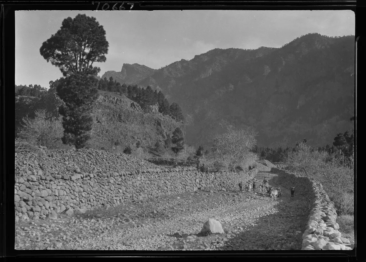 Joven pastor camino de la Cumbrecita.